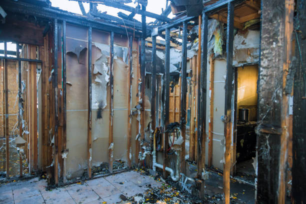 Professional Smoke Damage Removal technician working in Vanceboro, NC